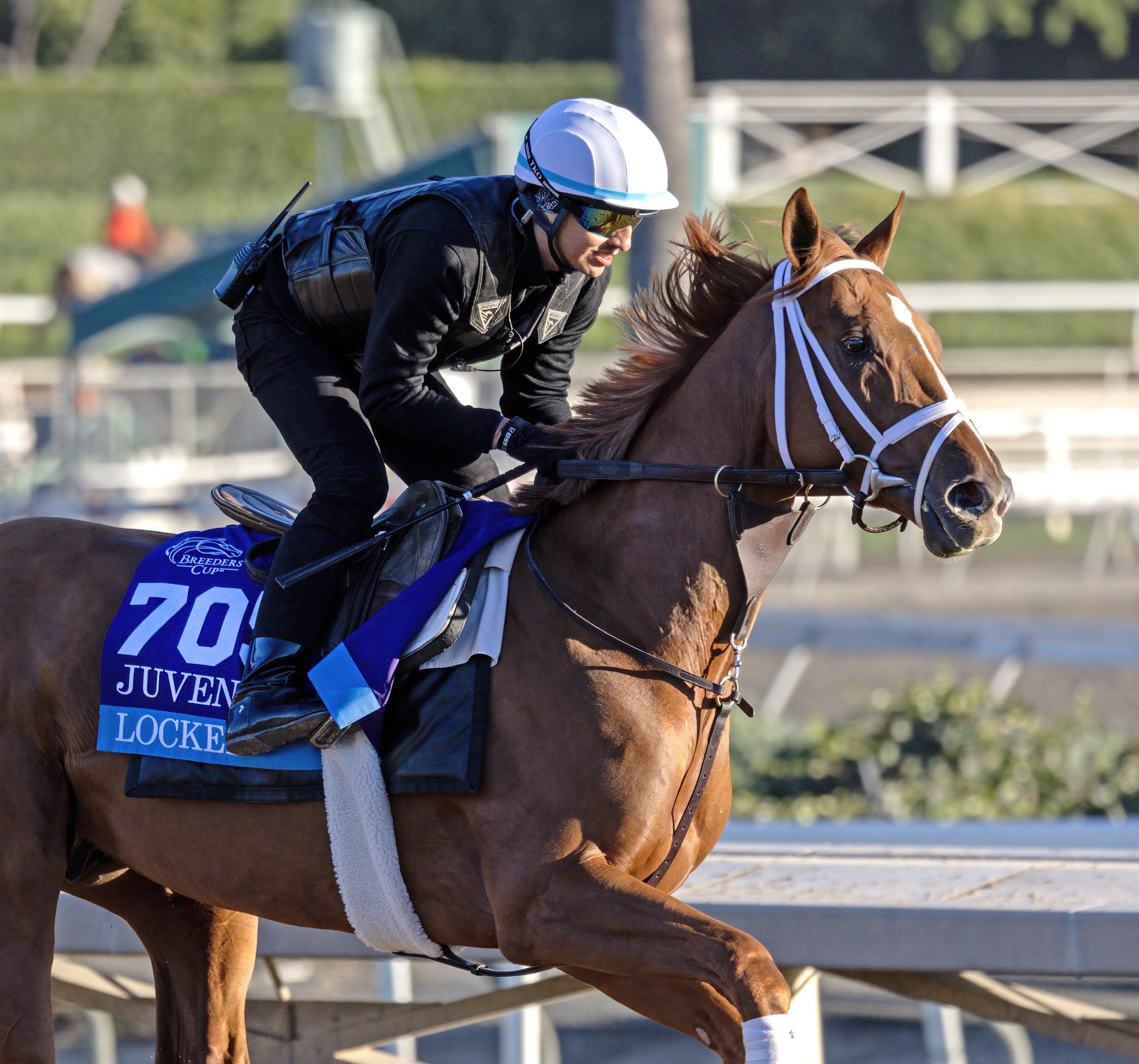 all-others-4-5-favorite-in-pool-1-of-kentucky-derby-future-wager